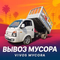 декларативный кролик: Вывоз мусора вывоз мусора вывоз мусора Вывоз мусора вывоз мусора