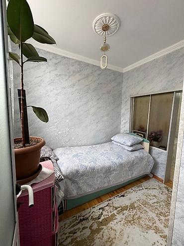 samaxi ev elanlari: 2 otaqlı, 78 kv. m, Yeni təmirli — 9