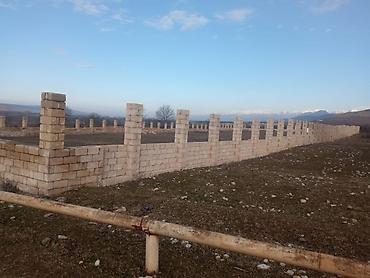 dağ: 43 sot, Kənd təsərrüfatı, Mülkiyyətçi, Kupça (Çıxarış), Texniki pasport — 9