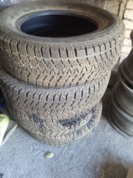 шины на форд транзит: Шины 195 / 65 / R 15, Зима, Новый, Комплект at lalafo.kg шины на форд транзит: Шины 195 / 65 / R 15, Зима, Новый, Комплект