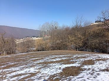 Torpaq sahələrinin satışı: 100 sot, Mülkiyyətçi, Bələdiyyə — 11