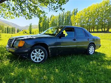 на 124: Mercedes-Benz W124: 1992 г., 2.5 л, Механика, Дизель, Седан — 3