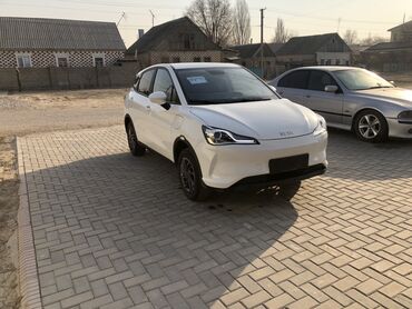 BYD: BYD : 2021 г., Электромобиль, Кроссовер — 6
