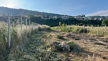şəkidə torpaq: 13 sot, Biznes üçün, Makler, Kupça (Çıxarış) — 2