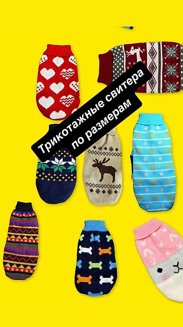 Зоотовары: Одежда для кошек и собак. От 200 сом и дороже Все НОВОЕ РАЗМЕР И — 21