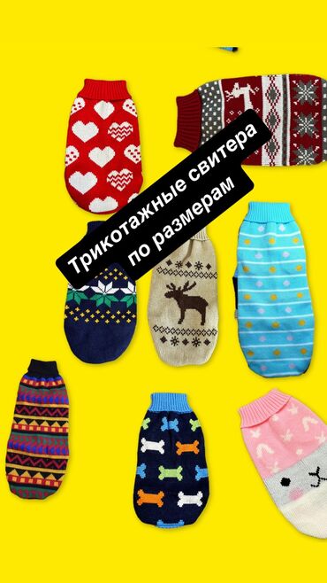 игрушки для кошки: Красивая одежда для собак и кошек. Цена на одежду зависит от фасона