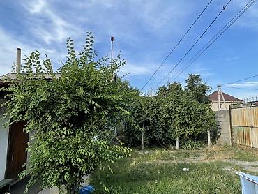 Продажа дач: Продаётся дом в с. Кунтуу. Центр. Большой участок.Подойдет для — 5