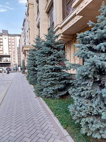 1010: 3 комнаты, 107 м², Элитка, 10 этаж, Евроремонт — 5