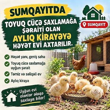 şəkide kiraye evler: 15 kv. m, 1 otaqlı — 1