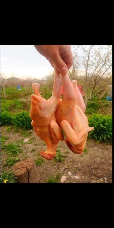 Mağazalar: 5️⃣0️⃣0️⃣Aznə icareye verilir. Obyekt 2008 ilden fealiyyet gosterib — 15