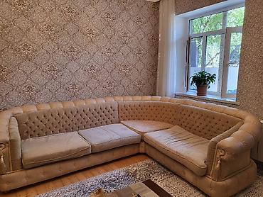 cester divani: Klassik üslubda, yarımdairə formalı iri künc divan. Üzərində listur — 1