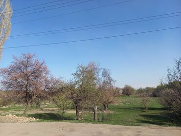 Продажа домов: Дом, 100 м², 4 комнаты, Собственник, Старый ремонт — 16