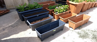 CD, DVD disklər və kassetlər: Dibcek qabi dibcek qablari gul qabi gul qablari bag ucun dibcek — 1