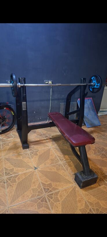 Digər trenajorlar: Zala lazım olan müasir trinajor avadanlıqları təcili 40 min manata — 13