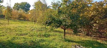 Torpaq sahələrinin satışı: 58 sot, Kənd təsərrüfatı, Barter mümkündür, Kupça (Çıxarış) — 13