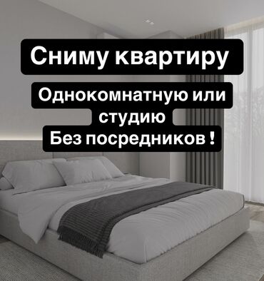 Сниму квартиру: 1 комната, 40 м², С мебелью