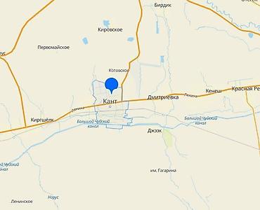 Продажа коттеджей и домов: Продаю 2 дома на участке в 6 соток. г. Кант. Под бизнес. Участок — 3