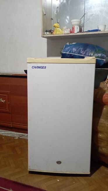 самодельный холодильник: Муздаткыч Snaige, Оңдоо талап кылынат, Кичи муздаткыч