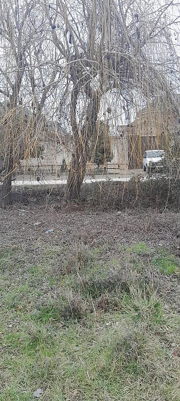 Torpaq sahələrinin satışı: Tikinti — 2