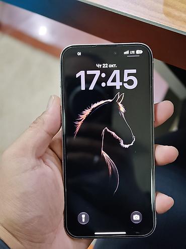 pro: IPhone 15 Pro Max, 512 ГБ на экране 3 пятно на работу не влияет — 4