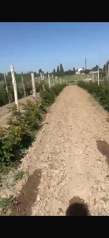 Продажа коттеджей и домов: Продаётся жилой дом с большим участком. 🌿 Продаётся уникальный — 18