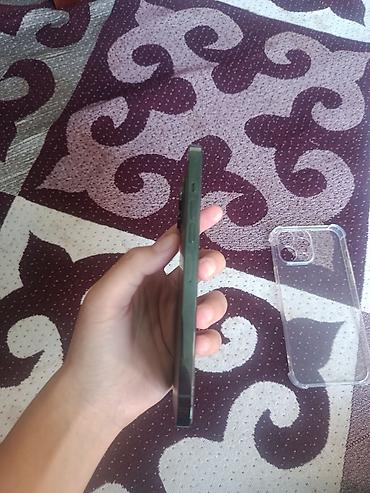 iphone sr: IPhone 13 Pro Max, Б/у, 256 ГБ, Зеленый, Чехол, 100 % — 3