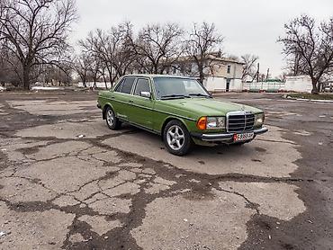 Mercedes-Benz: Mercedes-Benz W123: 1982 г., 3 л, Механика, Дизель, Седан — 13