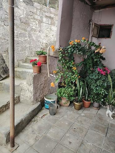 vila: 3 otaqlı, 52 kv. m, Təmirsiz — 6