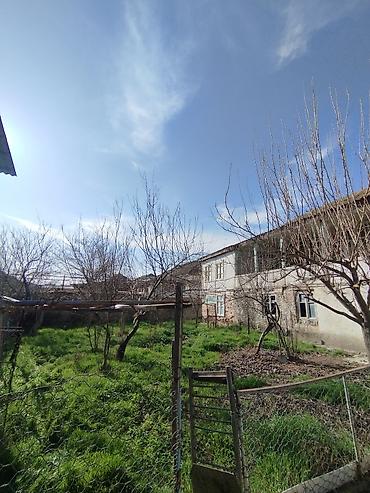 Torpaq sahələrinin satışı: Kənd təsərrüfatı — 10