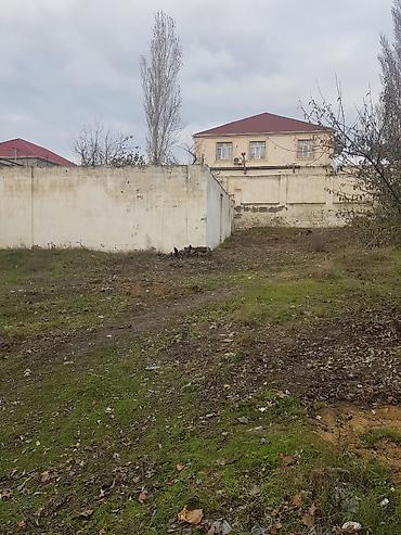 Torpaq sahələrinin satışı: 9 sot, Tikinti, Mülkiyyətçi, Kupça (Çıxarış) — 7