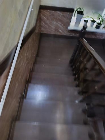 Долгосрочная аренда домов: 382 м², 10 комнат — 12