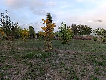 Продажа участков: 6 соток, Для строительства, Красная книга, Договор купли-продажи — 6