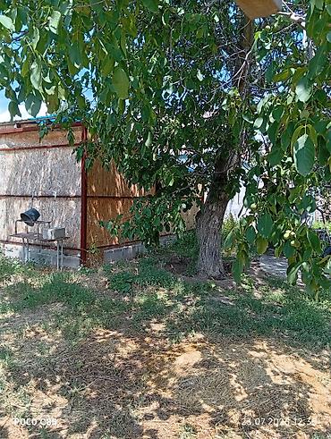 купить мобильный дом: Продаётся жилой дом 15 сотка участком.в Центральная улица для бизнеса — 2