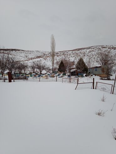 Продажа домов: Дом, 60 м², 4 комнаты, Собственник, Косметический ремонт — 15