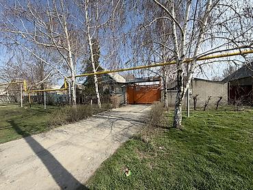 Продажа коттеджей и домов: Продается дом с большим дворовым участком 16.5 соток (фактически 20)и — 1