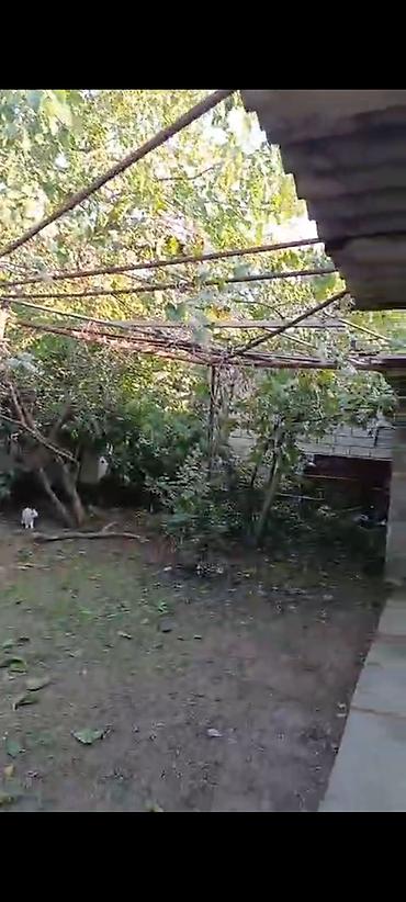berde kiraye: 100 kv. m, 3 otaqlı, Kombi, Qaz, İşıq — 2