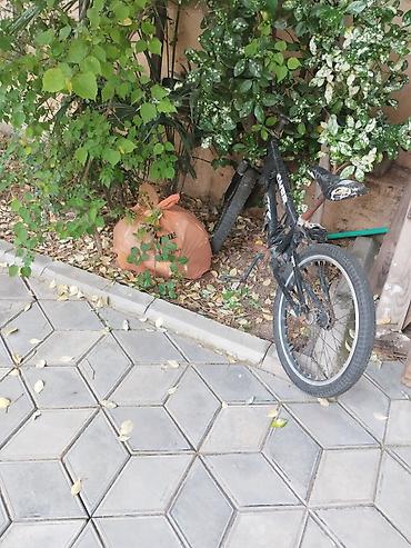 Velosipedlər: BMX tipli uşaq/yeniyetmə velosipedi - Rəng: qara, üzərində “BMX” — 1