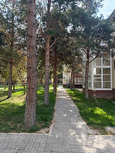 Гарнитуры для зала: ЦО Лазурный Берег Квартира на 1 этаже в 3 блоке с самостоятельным — 11