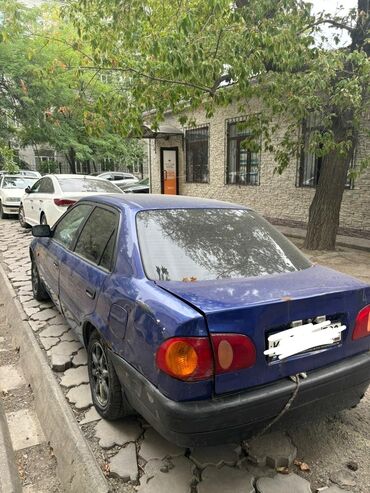 тойота королла 2014: Toyota Corolla: 1998 г., 1.3 л, Механика, Бензин, Седан