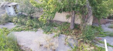 Torpaq sahələrinin satışı: 30 sot, Kənd təsərrüfatı, Mülkiyyətçi, Kupça (Çıxarış) — 12