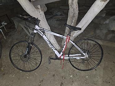 İdman velosipedləri: Phillips Mountain Bike velosiped Mtb velosiped dağ velosipedi — 1