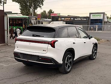 JMEV: JMEV : 2024 г., Электромобиль, Кроссовер — 4