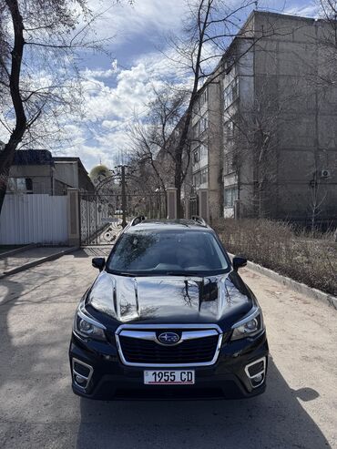 салон субару: Subaru Forester: 2019 г., 2.5 л, Вариатор, Бензин, Кроссовер