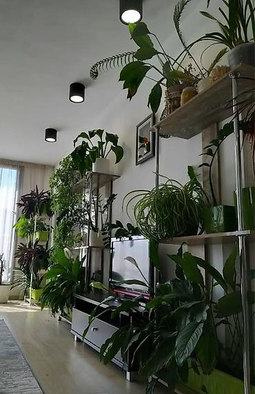 Долгосрочная аренда квартир: 4 комнаты, Риэлтор, Без подселения, С мебелью полностью — 6