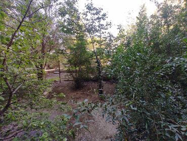 Köhnə tikili: Bakı, 9-cu mikrorayon, 2 otaqlı, Köhnə tikili, m. 20 Yanvar, 65 kv. m — 12