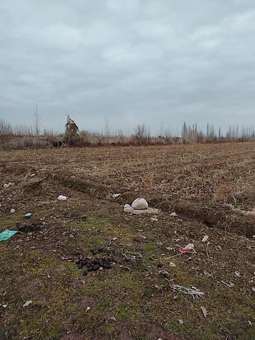 Продажа участков: 200 соток — 7