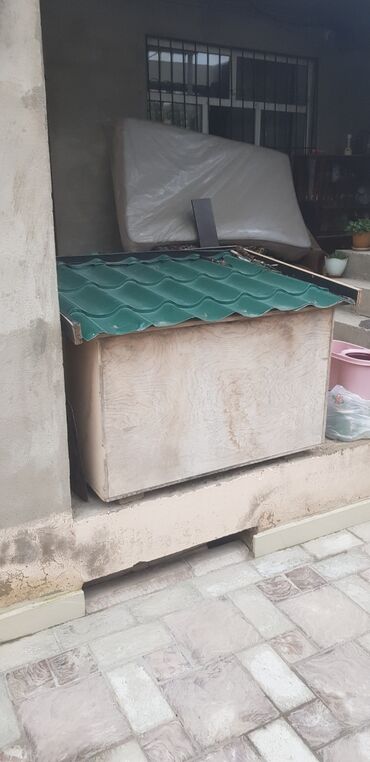 itler ucun xaltalar: Böyük ölçülü it evi - Material: möhkəm taxta konstruksiya - Dam