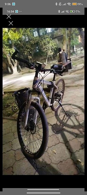 low 2 fixed gear: Горный велосипед Aston (Hardtail) - Рама: алюминиевая, классический — 1