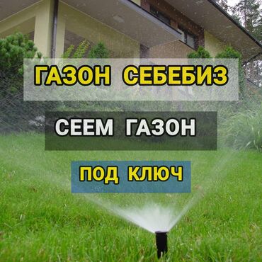 газонная трова: Газон себебиз 🌱 поссев газон 🌱 под ключ 🏡по городу бишкек 🚀. Опыт