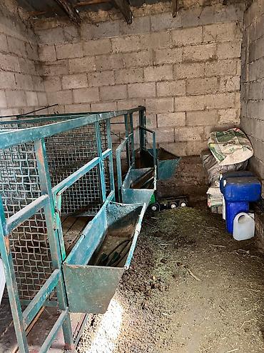 добрыня дача: 81 м², 3 комнаты, Утепленный, Парковка, Лоджия — 4